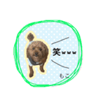 もこの日常会話（個別スタンプ：18）