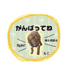 もこの日常会話（個別スタンプ：19）