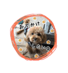 もこの日常会話（個別スタンプ：23）
