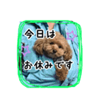 もこの日常会話（個別スタンプ：24）