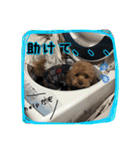 もこの日常会話（個別スタンプ：26）