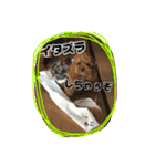 もこの日常会話（個別スタンプ：28）