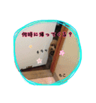 もこの日常会話（個別スタンプ：29）