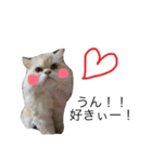 ポテ猫なのだ（個別スタンプ：7）