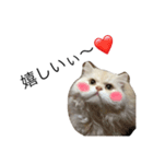 ポテ猫なのだ（個別スタンプ：10）