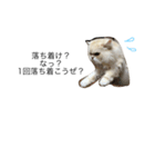 ポテ猫なのだ（個別スタンプ：14）