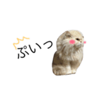 ポテ猫なのだ（個別スタンプ：16）