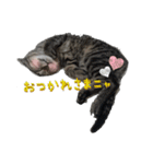 セバスチャンのスタンプ（個別スタンプ：1）