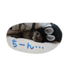 セバスチャンのスタンプ（個別スタンプ：8）