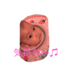 あさひまる♫2（個別スタンプ：5）