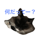 らむさま（個別スタンプ：2）