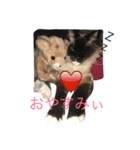 らむさま（個別スタンプ：3）