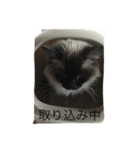 らむさま（個別スタンプ：5）
