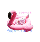 みぃちゃんだよ〜！（個別スタンプ：10）