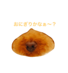 むむぅ〜（個別スタンプ：7）
