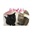つむぎとこまると（個別スタンプ：8）