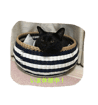 つむぎとこまると（個別スタンプ：10）
