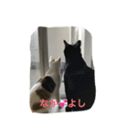 つむぎとこまると（個別スタンプ：18）