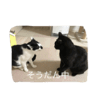 つむぎとこまると（個別スタンプ：21）