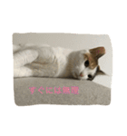 つむぎとこまると（個別スタンプ：24）