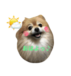 オクまん（個別スタンプ：1）