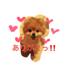 オクまん（個別スタンプ：4）