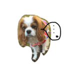 オクまん（個別スタンプ：5）