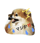 オクまん（個別スタンプ：6）