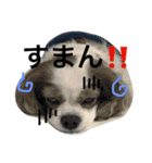 オクまん（個別スタンプ：7）