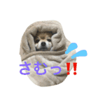 オクまん（個別スタンプ：8）