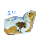オクまん（個別スタンプ：9）