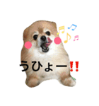 オクまん（個別スタンプ：11）