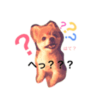 オクまん（個別スタンプ：12）