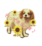 オクまん（個別スタンプ：17）