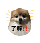 オクまん（個別スタンプ：18）