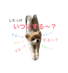 オクまん（個別スタンプ：19）