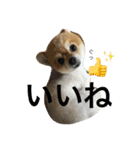 オクまん（個別スタンプ：22）