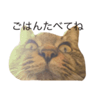 猫の むぎ（個別スタンプ：18）