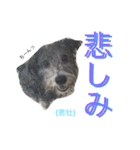 使えるロイロイスタンプ（個別スタンプ：13）
