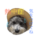 使えるロイロイスタンプ（個別スタンプ：18）