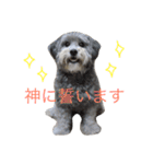 使えるロイロイスタンプ（個別スタンプ：24）