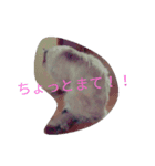 らてくんのスタンプ作ってみました！（個別スタンプ：1）