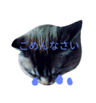 らてくんのスタンプ作ってみました！（個別スタンプ：3）