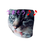 らてくんのスタンプ作ってみました！（個別スタンプ：4）