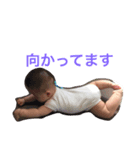 息子II（個別スタンプ：3）