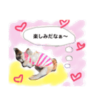 増量！ シーズー犬 のんちゃま（個別スタンプ：25）
