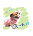 増量！ シーズー犬 のんちゃま（個別スタンプ：28）