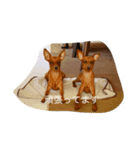 花子と梅子（個別スタンプ：5）