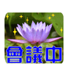 Flowers -3 lotus [Chinese version]（個別スタンプ：14）