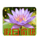 Flowers -3 lotus [Chinese version]（個別スタンプ：19）